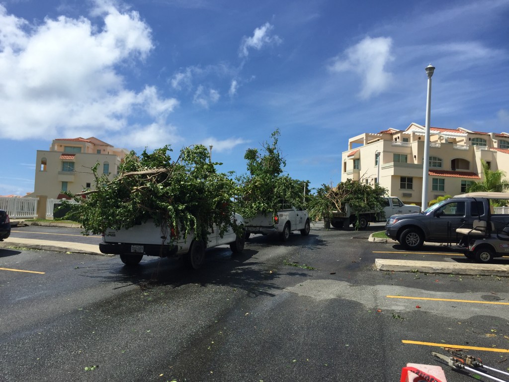 Poda de Arbol Humacau&nbsp;PR