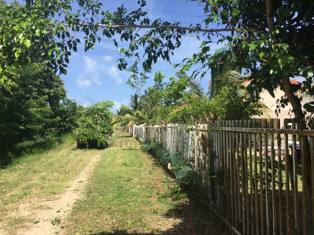 Entrada sin título 278