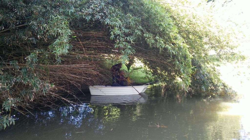 Costa verde en Palma de&nbsp;Mar