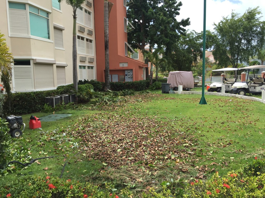 Esto sucede cuando se comienza nuevo en un Complejo y descubres que el jardinero anterior no hacía su trabajo&nbsp;correctamente