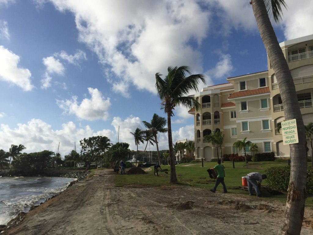 10 mil pies de&nbsp;grama