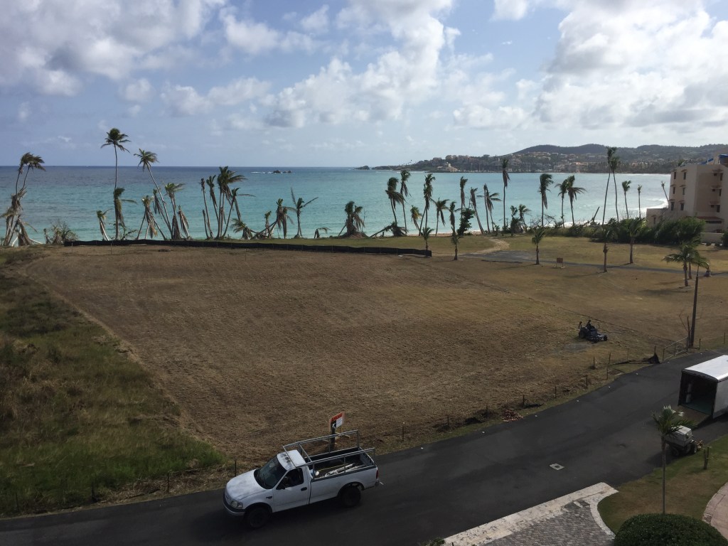 Limpieza para los Helicópteros de cobra en Solareas Palmas de&nbsp;Mar
